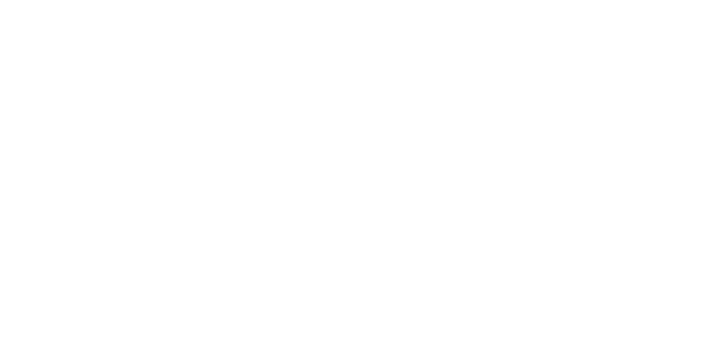 Skyfans Kooperation