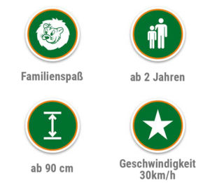 Symbole für Freizeitaktivitäten Vier Symbole, die verschiedene Freizeitaktivitäten und Anforderungen darstellen, darunter ein Löwe, eine Familie, eine Größe und Geschwindigkeit.