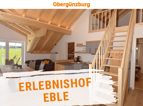 Innenansicht eines modernen Ferienhauses mit Holzdecke und offener Treppe.